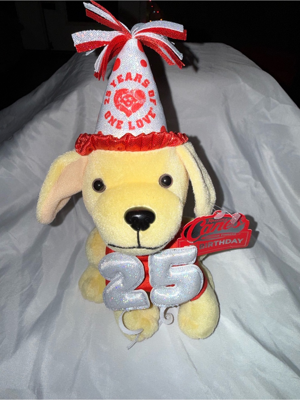 Raising Cane’s Birthday Pup- special edition- NWT